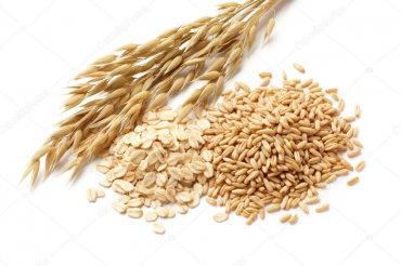 gallery/depositphotos_29762147-stock-photo-oats-with-grains